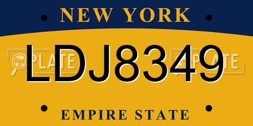 LDJ8349 New York License Plate