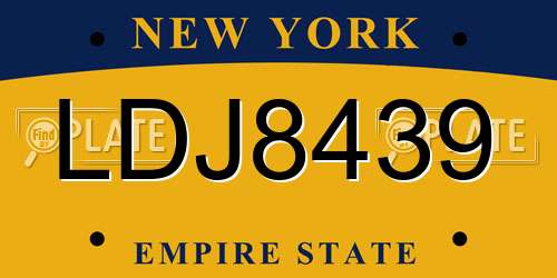 LDJ8439 New York License Plate