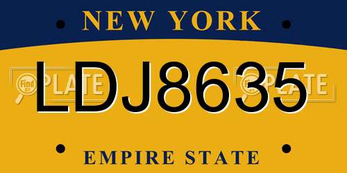 LDJ8635 New York License Plate