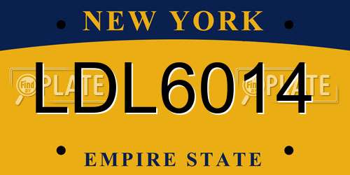 LDL6014 New York License Plate