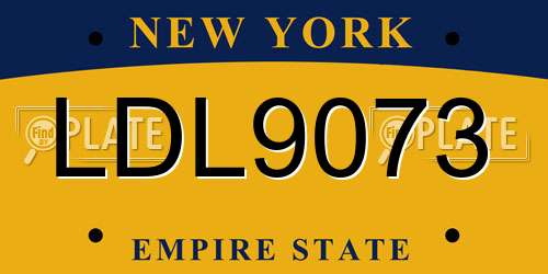 LDL9073 New York License Plate