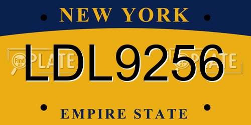 LDL9256 New York License Plate