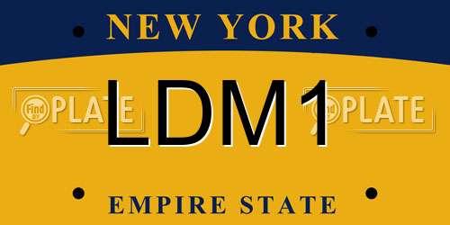 LDM1 New York License Plate