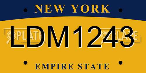 LDM1243 New York License Plate