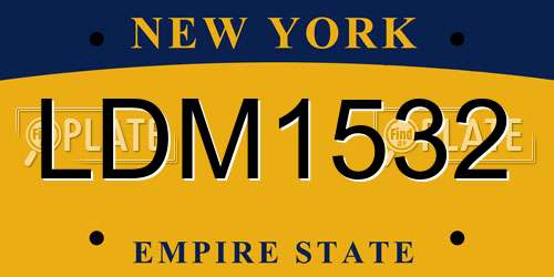 LDM1532 New York License Plate