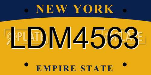 LDM4563 New York License Plate