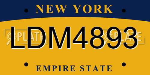 LDM4893 New York License Plate
