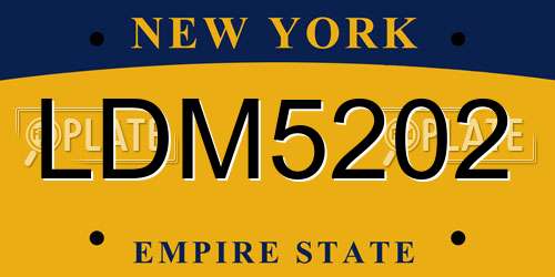 LDM5202 New York License Plate