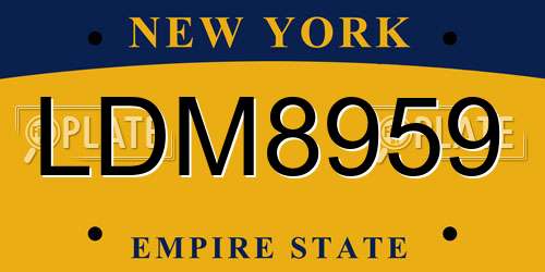 LDM8959 New York License Plate