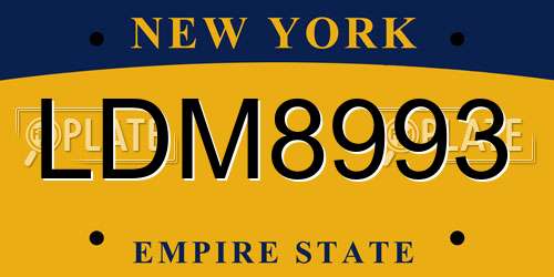 LDM8993 New York License Plate