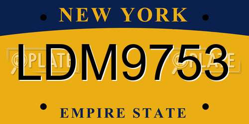 LDM9753 New York License Plate
