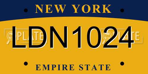LDN1024 New York License Plate