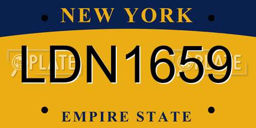 LDN1659 New York License Plate