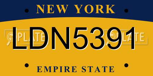 LDN5391 New York License Plate