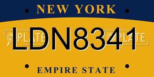 LDN8341 New York License Plate