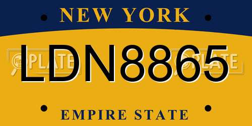 LDN8865 New York License Plate