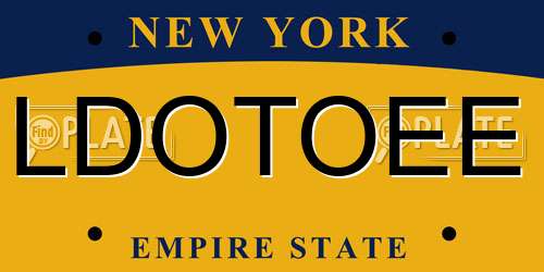 LDOTOEE New York License Plate