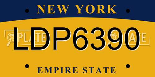 LDP6390 New York License Plate