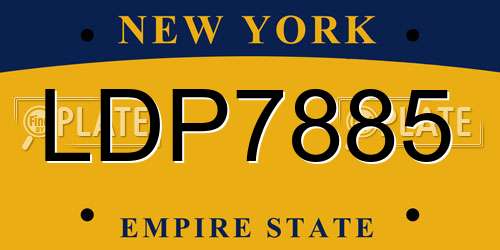 LDP7885 New York License Plate