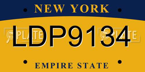 LDP9134 New York License Plate