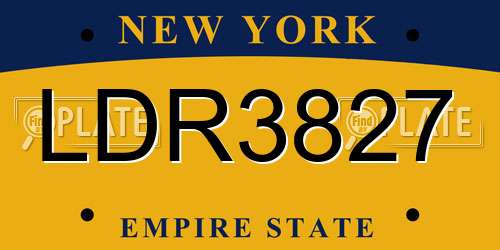 LDR3827 New York License Plate