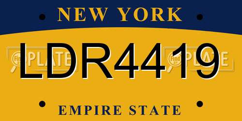 LDR4419 New York License Plate