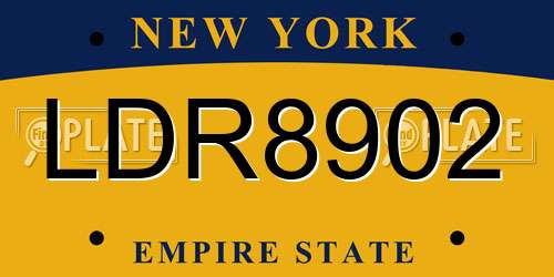 LDR8902 New York License Plate