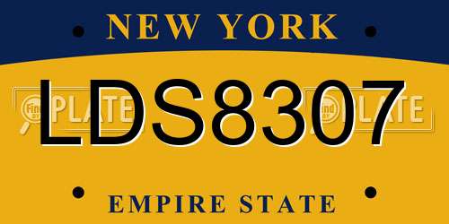 LDS8307 New York License Plate