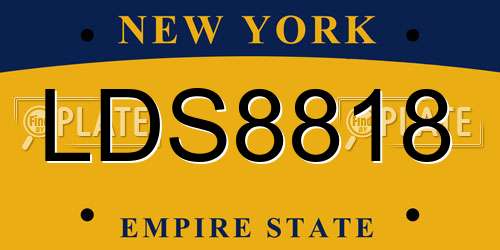 LDS8818 New York License Plate