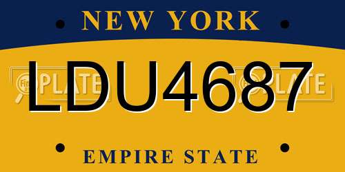LDU4687 New York License Plate