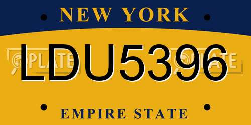 LDU5396 New York License Plate