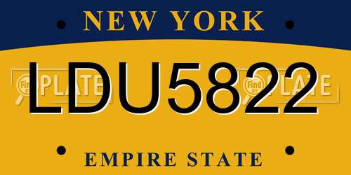 LDU5822 New York License Plate