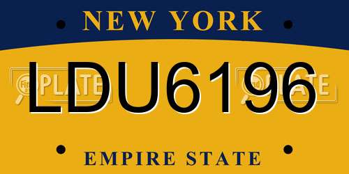 LDU6196 New York License Plate