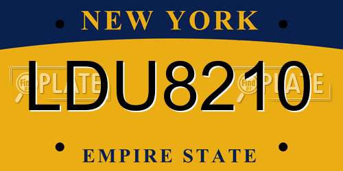LDU8210 New York License Plate