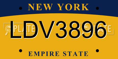LDV3896 New York License Plate