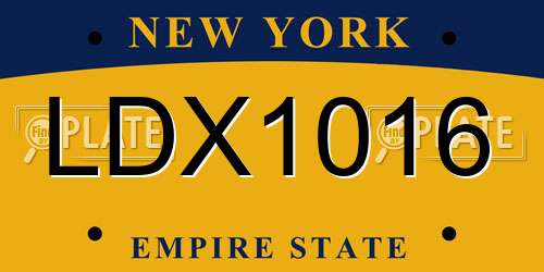 LDX1016 New York License Plate