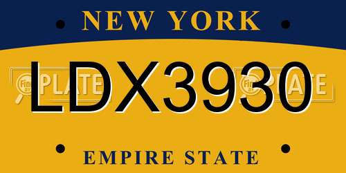 LDX3930 New York License Plate