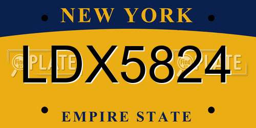 LDX5824 New York License Plate