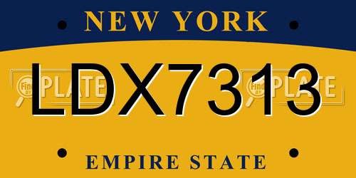 LDX7313 New York License Plate