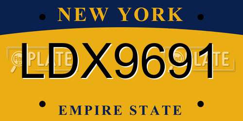 LDX9691 New York License Plate