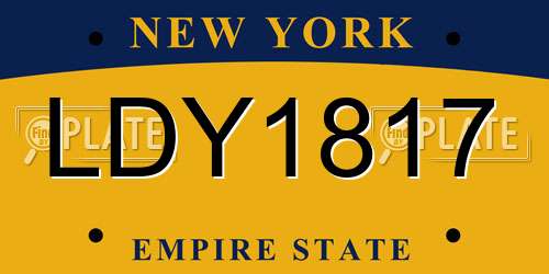 LDY1817 New York License Plate