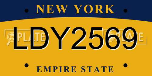 LDY2569 New York License Plate