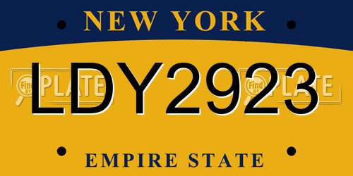 LDY2923 New York License Plate