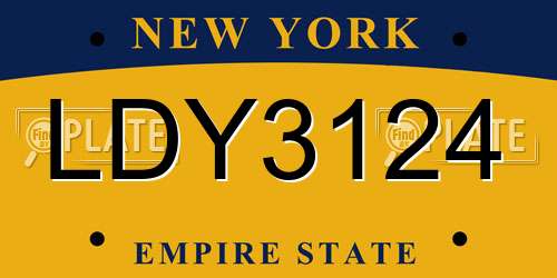 LDY3124 New York License Plate