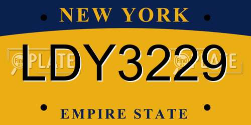 LDY3229 New York License Plate