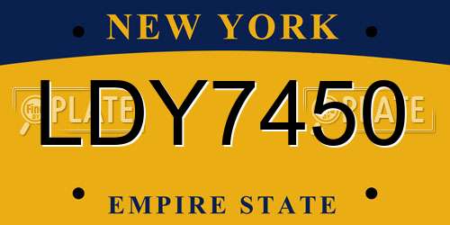 LDY7450 New York License Plate
