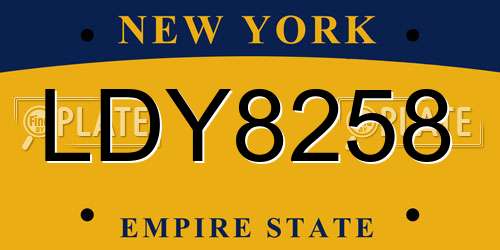 LDY8258 New York License Plate