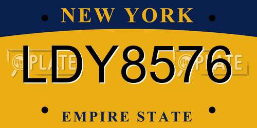 LDY8576 New York License Plate
