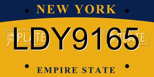 LDY9165 New York License Plate