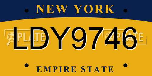 LDY9746 New York License Plate